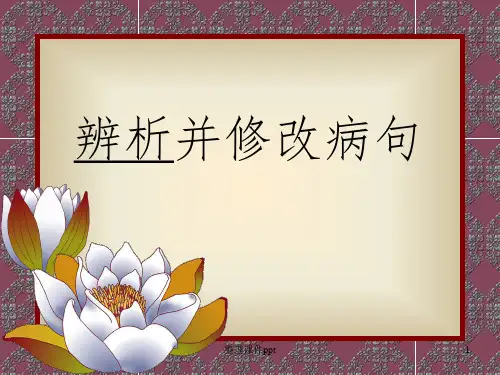 《辨析并修改病句》PPT课件