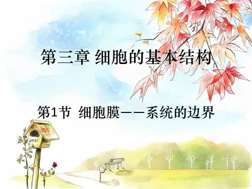 人教版高中生物必修一第3章第1节细胞膜——系统的边界  课件(共16张PPT)
