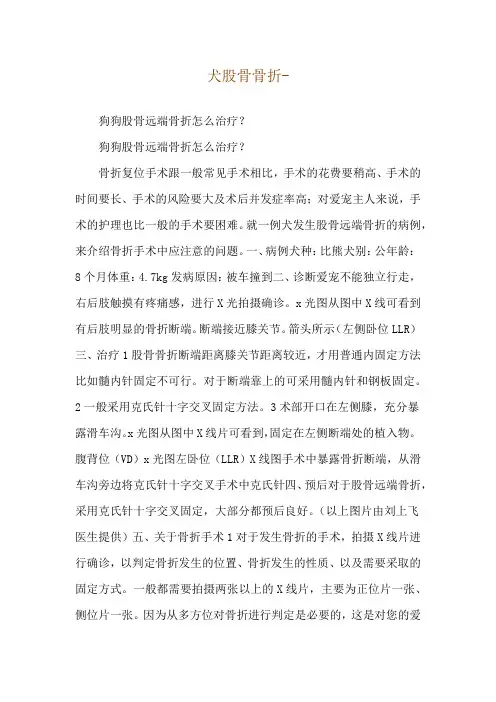 犬股骨骨折--狗狗股骨远端骨折怎么治疗？