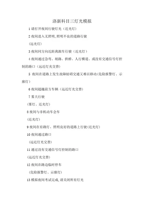 洛新科目三灯光模拟