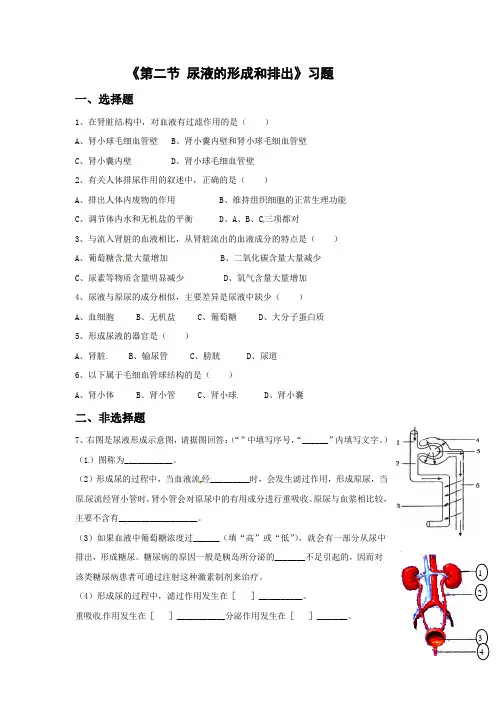 北京课改版-生物-七年级下册-7.2 尿液的形成和排出 习题