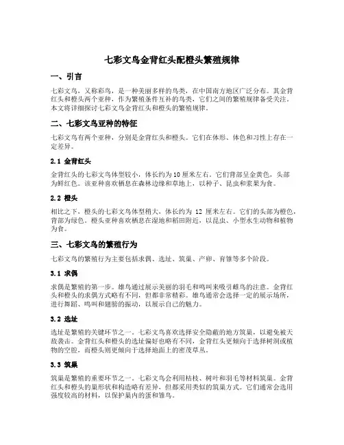 七彩文鸟金背红头配橙头繁殖规律