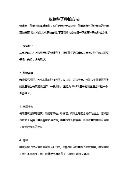 紫藤种子种植方法