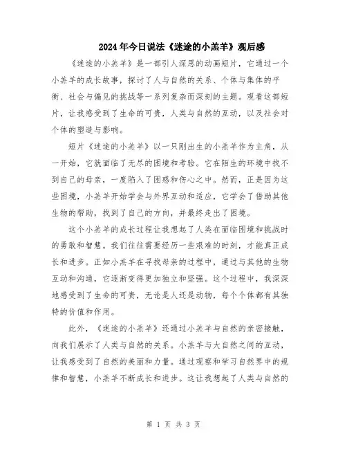 2024年今日说法《迷途的小羔羊》观后感