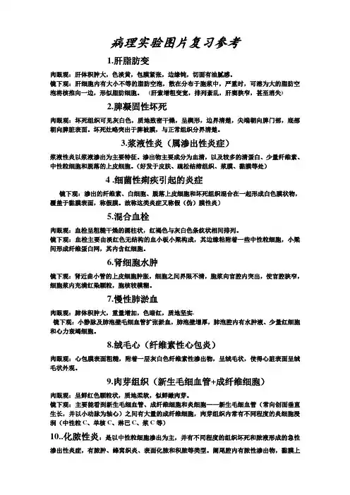 病理学图片整理