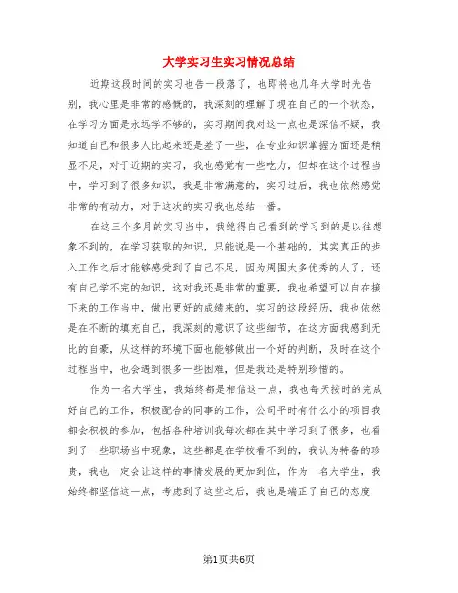 大学实习生实习情况总结(3篇)