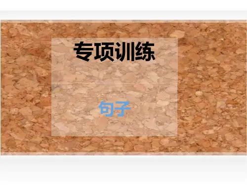 小学六年级复习句子专项 - 副本