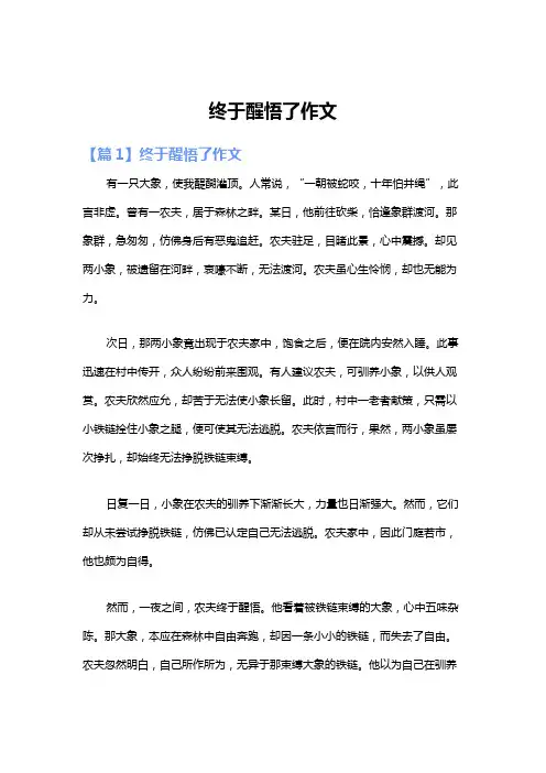 终于醒悟了作文