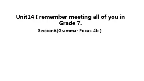 24年人教九年级英语全册Unit 14 Section A Grammar focus 4a4b课件