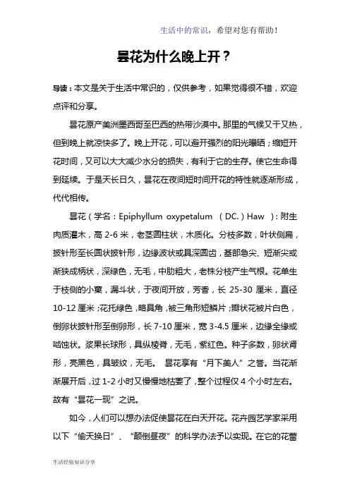 昙花为什么晚上开？