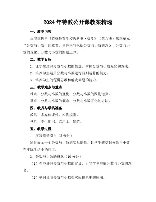 2024年特教公开课教案精选