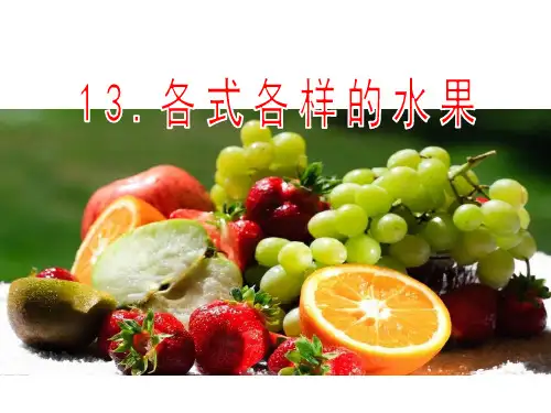 一年级下册美术课件-13 各式各样的水果(4)-人教版