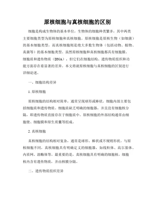 原核细胞与真核细胞的区别