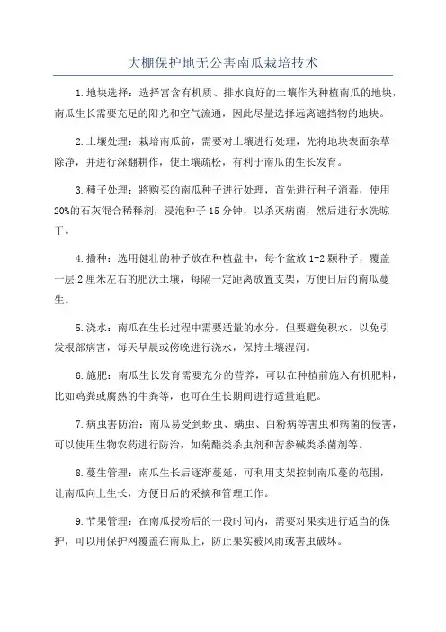 大棚保护地无公害南瓜栽培技术