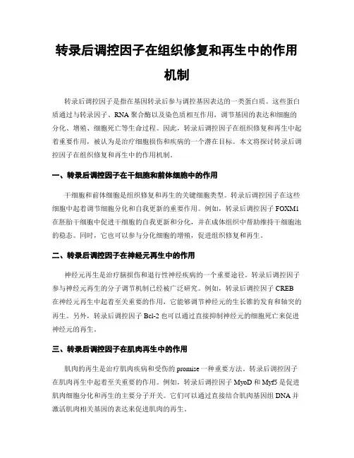 转录后调控因子在组织修复和再生中的作用机制