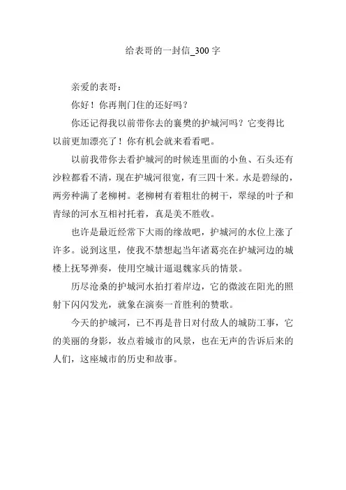给表哥的一封信_300字