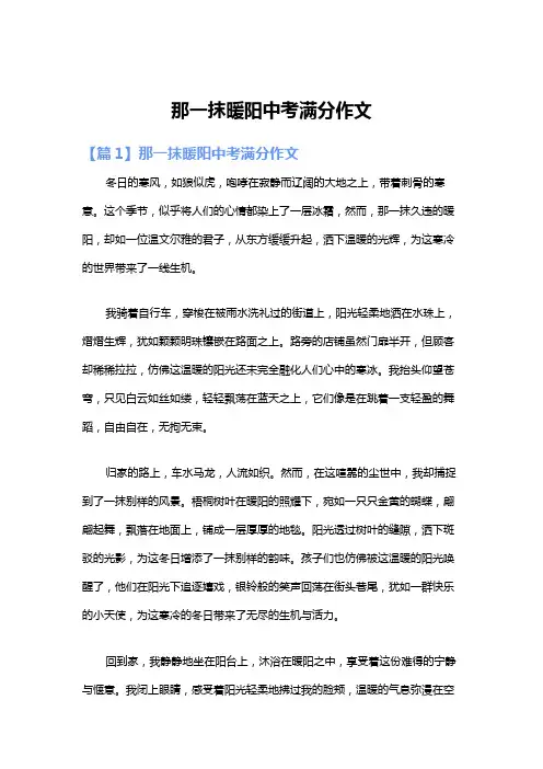 那一抹暖阳中考满分作文