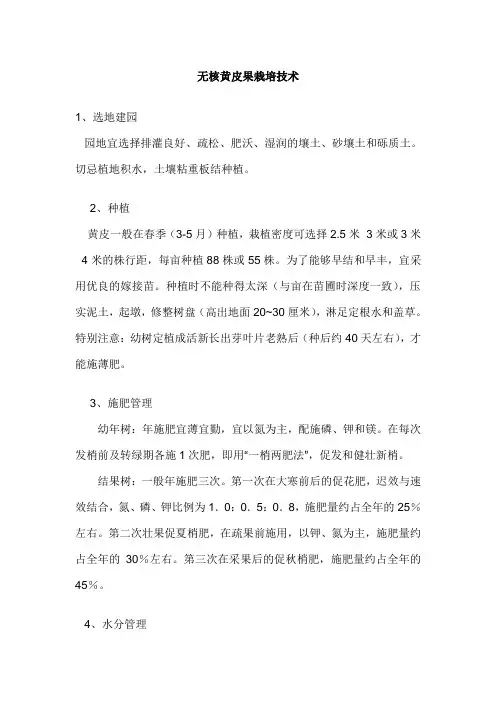 无核黄皮果栽培技术