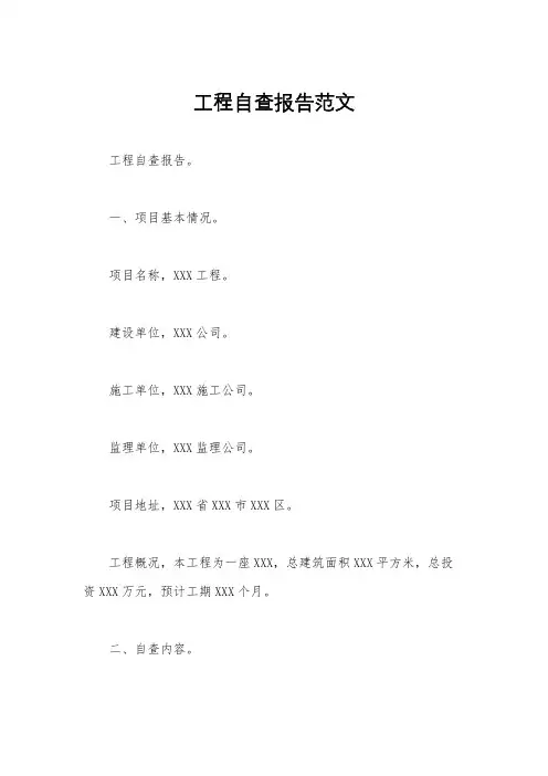 工程自查报告范文
