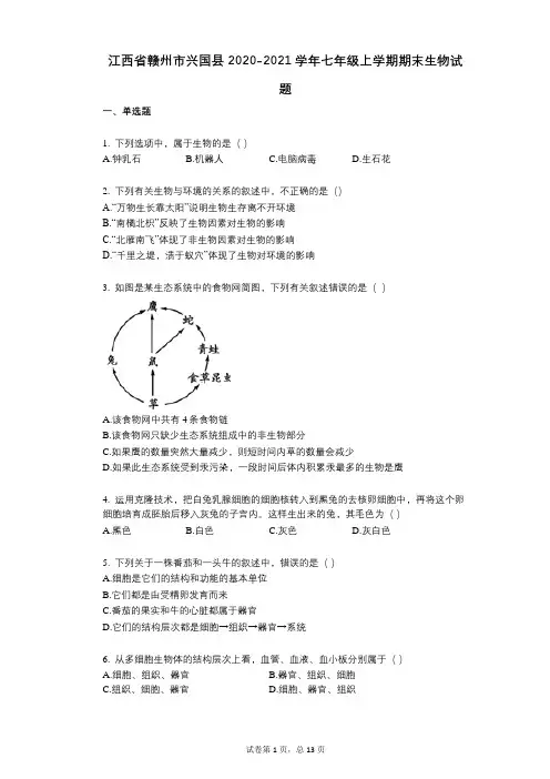 江西省赣州市兴国县2022年-有答案-七年级上学期期末生物试题