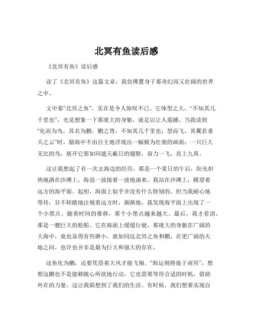 北冥有鱼读后感