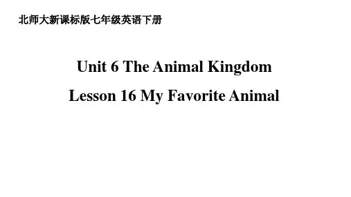 北师大版七年级英语下Unit6 Lesson 16 My Favourite Animal教学课件共23张PPT
