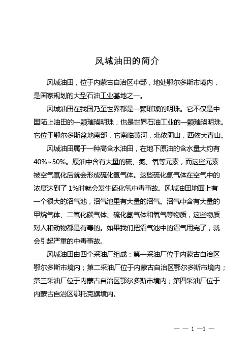 风城油田的简介