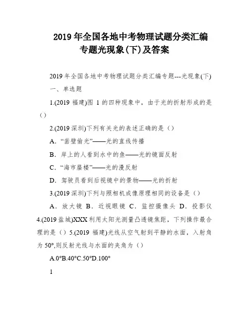 2019年全国各地中考物理试题分类汇编专题光现象(下)及答案