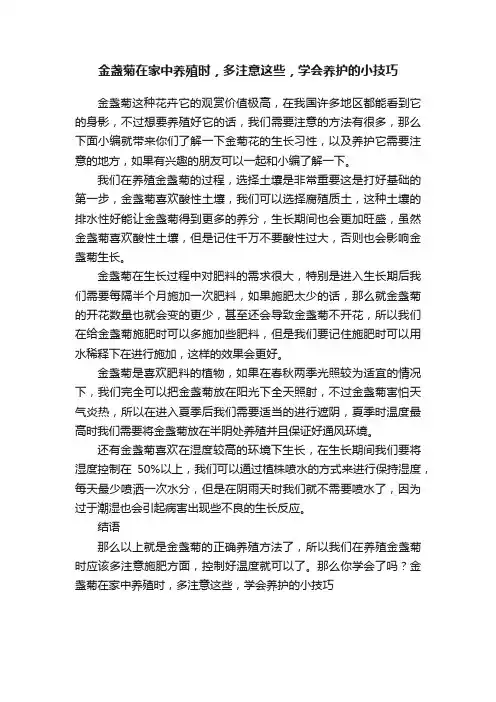 金盏菊在家中养殖时，多注意这些，学会养护的小技巧