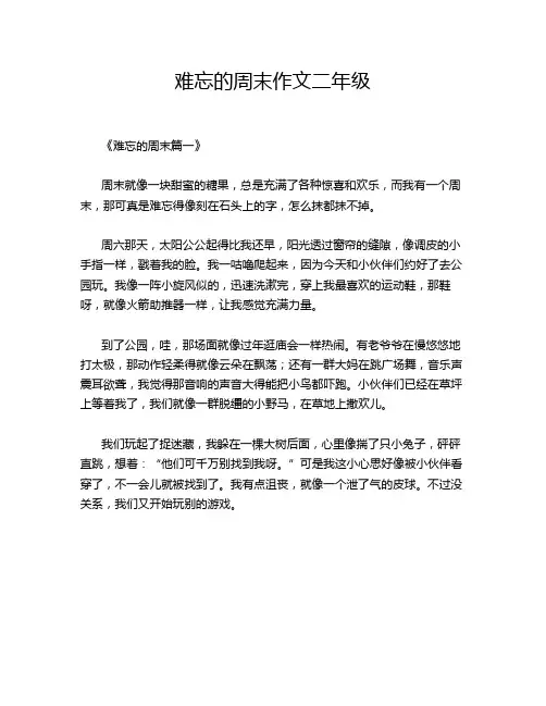 难忘的周末作文二年级