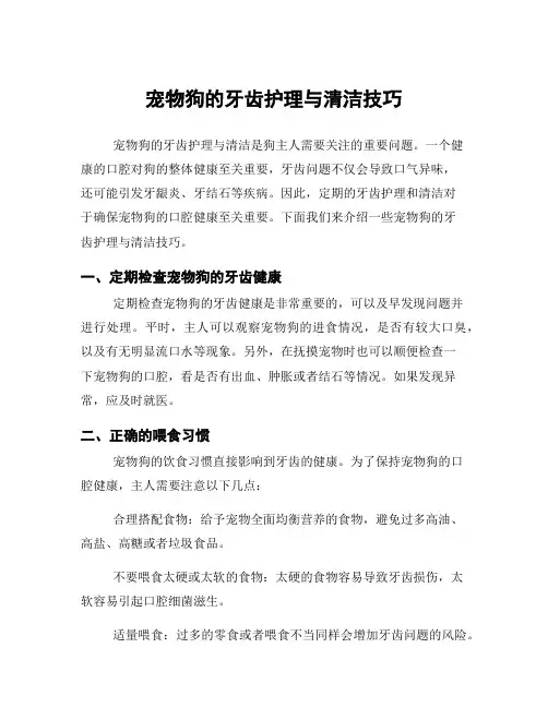 宠物狗的牙齿护理与清洁技巧