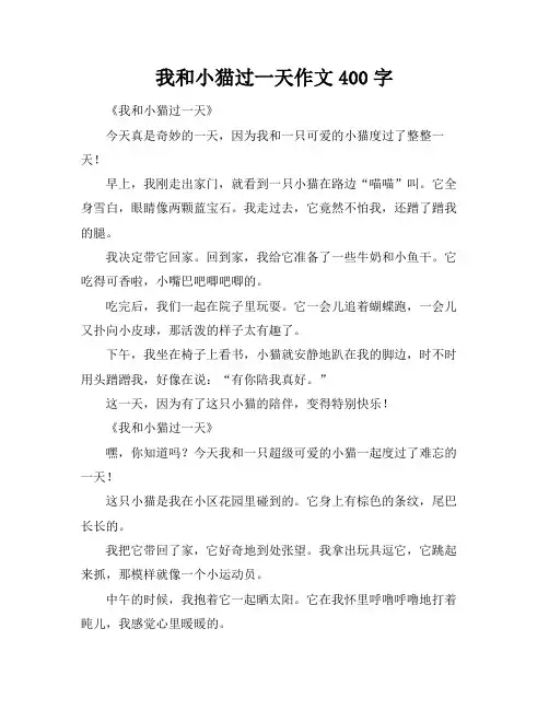 我和小猫过一天作文400字