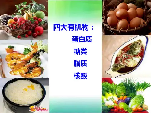 人教版生物必修一2.4细胞中的糖类和脂质课件