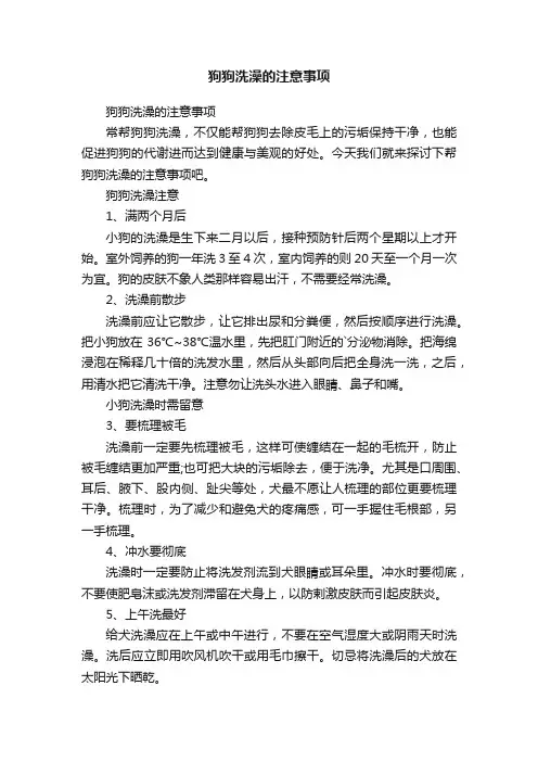 狗狗洗澡的注意事项
