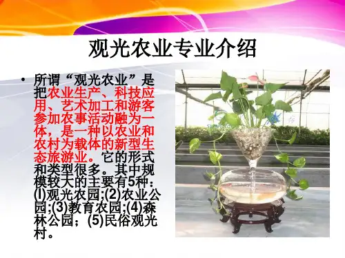 观光农业专业介绍详解