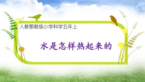 五年级科学《水是怎样热起来的》