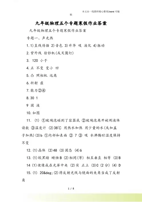 九年级物理五个专题寒假作业答案