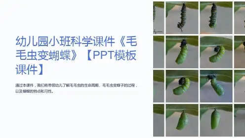 幼儿园小班科学课件《毛毛虫变蝴蝶》【模板课件】