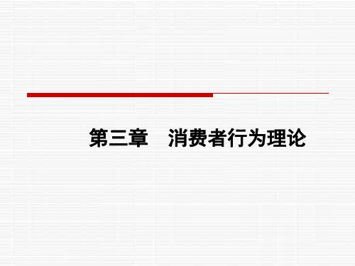 消费者行为理论最新