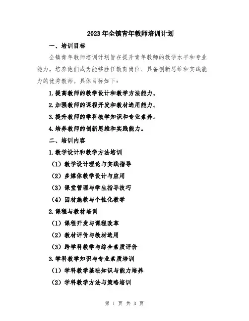 2023年全镇青年教师培训计划