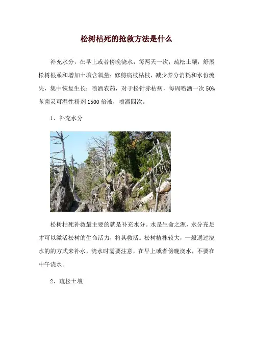 松树枯死的抢救方法是什么