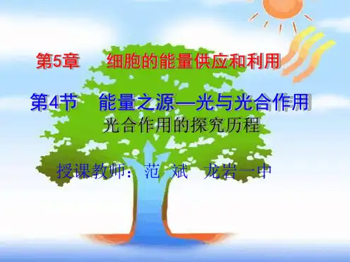 公开课能量之源光与光合作用