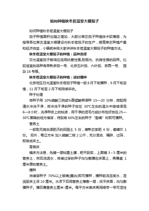 如何种植秋冬茬温室大棚茄子