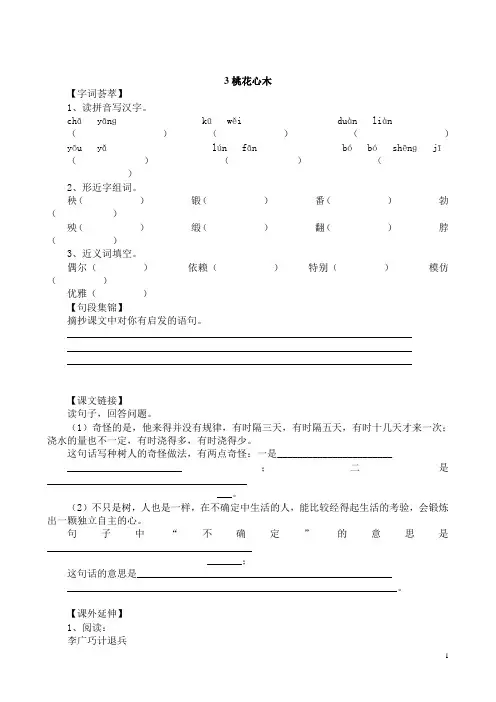 人教版小学六年级语文下册全册课课练及答案    3 桃花心木