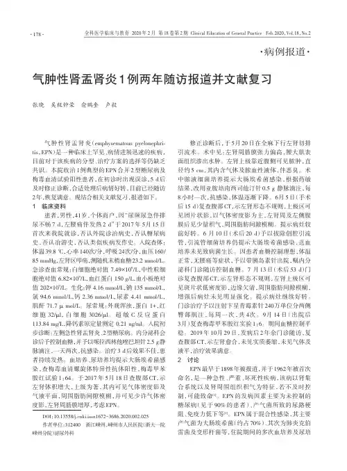 气肿性肾盂肾炎1例两年随访报道并文献复习