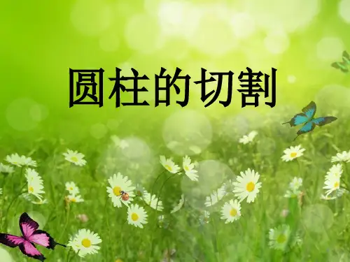 圆柱的切割ppt课件