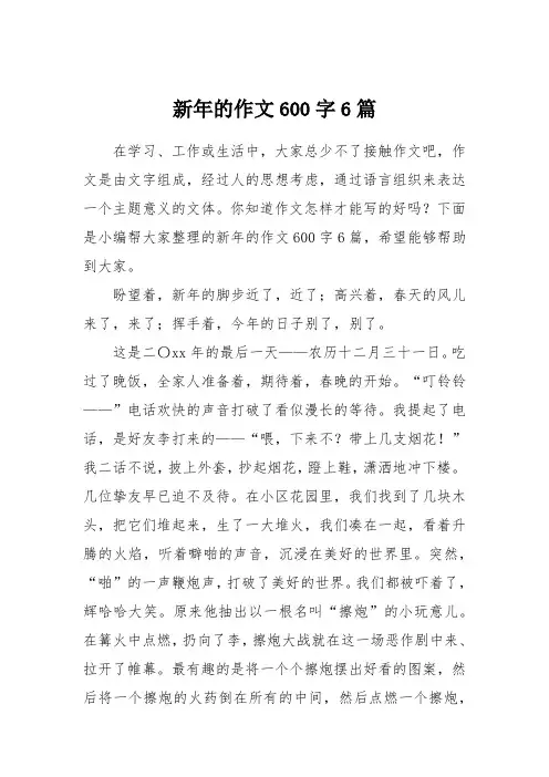 新年的作文600字6篇