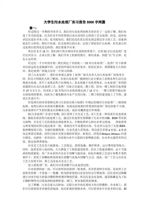 大学生污水处理厂实习报告5000字两篇