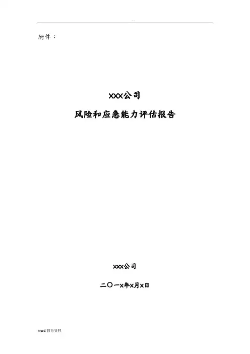 危化品风险和应急能力评估报告(化工)