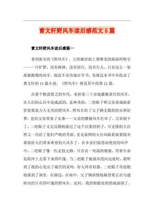 曹文轩野风车读后感范文5篇